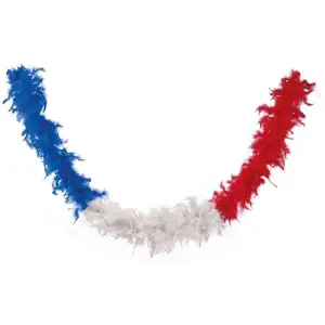Comparateur de prix : Non communiqué Guirlande de plumes Boa Tricolore France: bleu, blanc et rouge 180cm (x1) REF/22401 ptit clown