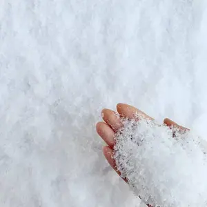Sachet de Fausse neige de 74 grammes