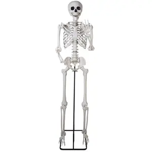 RueDeLaFete Squelette sur pied articulé - 213cm 24693PC pas cher