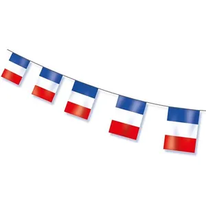 Comparateur de prix : GUIRLANDE 10 PAVILLONS PLASTIQUE DRAPEAU FRANCE 5M