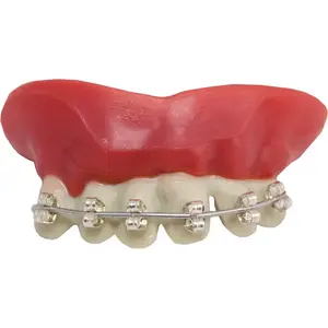 Comparateur de prix : P'tit Clown Dentier appareil dentaire