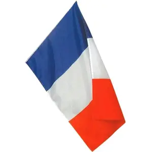Comparateur de prix : Non communiqué 1 Drapeau France de 60cm x 90cm en tricolore : bleu, blanc et rouge REF/29760