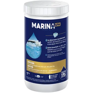 MARINA Brome Mini Galets 20G SPA 1KG pas cher