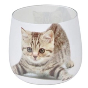 Paris Prix Bougie Anti-Odeurs Chat 8cm Blanc pas cher