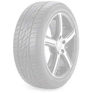 MICHELIN Pilot Sport EV 255/35 R21 98W pas cher