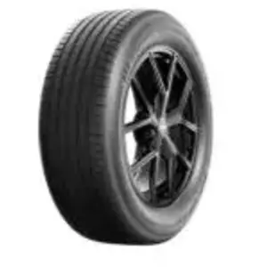 BF Goodrich Advantage 2 XL 255 40 20 W 101 Summer pas cher