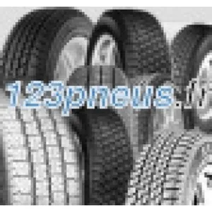 Pneu toutes saisons BF Goodrich Advantage All-Season 205/40 R17 84W pas cher