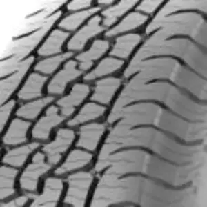 Pneus toutes saisons BF Goodrich Trail Terrain T/A ( 245/65 R17 111T XL OWL ) pas cher