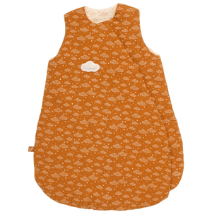 Comparateur de prix : Sauthon Gigoteuse Bébé Hiver Croisée En Double Gaze De Coton Marron