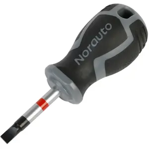 Tournevis Plat Court 5,5 Norauto