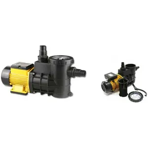 Bigb - Pompe de filtration piscine 14500l/h - 750 w pas cher