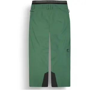 Pantalon de ski PICTURE OBJECT PANTS (B Smoke Pine) homme pas cher