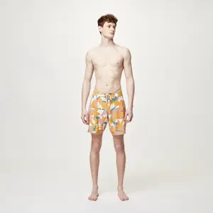 Picture Boardshort - ANDY 17 BRDS - Homme - 30 - pas cher