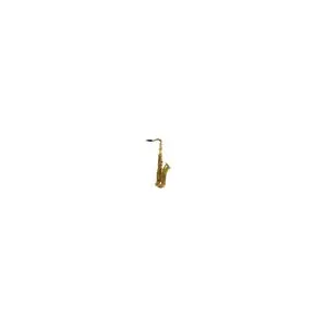 Woodbrass WST300 - Ténor Si b Verni pas cher