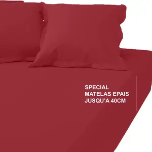 3S. x Tertio (Nos Unis) Drap-housse grand bonnet XL percale de coton T... pas cher