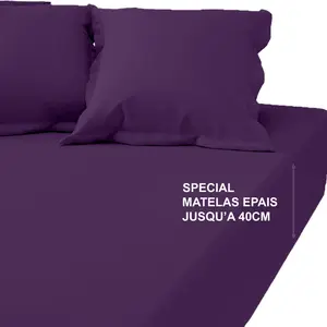 3S. x Tertio (Nos Unis) Drap-housse grand bonnet XL percale de coton T... pas cher