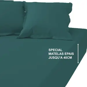 Drap-housse grand bonnet XL Coton Tertio® - Vert émeraude pas cher