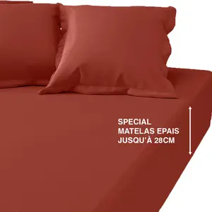 Drap-housse grand bonnet coton TERTIO® - Terracotta pas cher