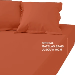 3S. x Tertio (Nos Unis) Drap-housse grand bonnet XL Coton Tertio® - Ta... pas cher