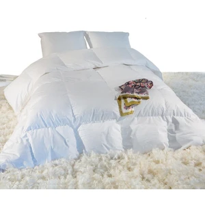 Selenia Couette Chaude 90% Duvet 250 gr/m² PLOMAVendu par3suisses