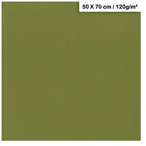 Clairefontaine Papier Maya - 120g - Vert kaki - 50 x 70 cmVendu parscrapmalin