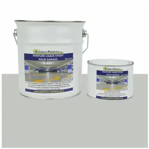 Peinture Laque Epoxy pour Garage - 20 Kg Utilisation professionnelle Gris clair MatproVendu paramazon