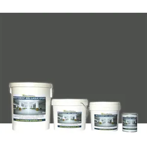 MATPRO Peinture laque époxy sol et mur Kit de 10 Kg Gris Basalte RAL 7012 pas cher