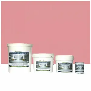 Matpro - Peinture laque Epoxy Sol et Mur - 1 Kg Rose pas cher