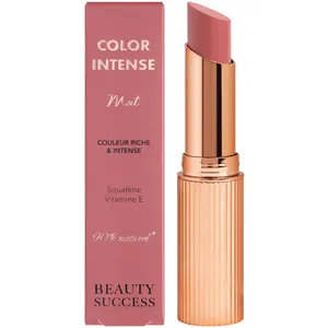 Beauty Success - Color Intense Mat Rouge À Lèvres Amourette Cachée N°1... pas cher