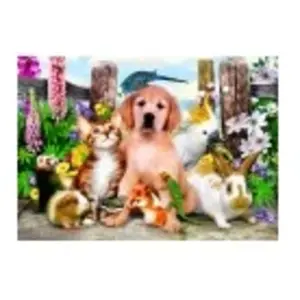 Good Companions 500 Pièces Bluebird Puzzle pas cher