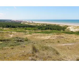 Dunes d'Hardelot, Côte d'Opale, France 1000 Pièces Bluebird Puzzle pas cher