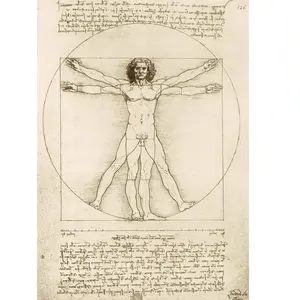 Bluebird Puzzle Leonardo Da Vinci - The Vitruvian Man, 1490