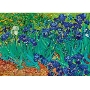 Vincent Van Gogh - Irises, 1889 1000 Pièces Bluebird Puzzle pas cher