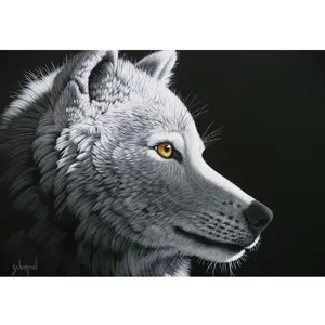 Schim Schimmel - Wolf Light 1000 Pièces  Grafika