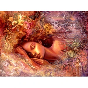 Psyche's Dreams 2000 Pièces  Grafika pas cher