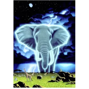 Schim Schimmel - Spirit of Africa 1000 Pièces  Grafika