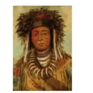 George Catlin : Chef Indien - Ojibbeway, 1843 24 Pièces  Grafika Kids