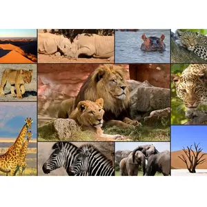 Collage - Wildlife 1000 Pièces  Grafika pas cher