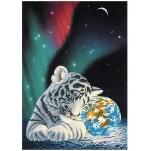 Schim Schimmel - Earth Light 1000 Pièces  Grafika
