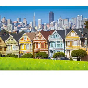 San Francisco, Painted Ladies 3000 Pièces  Bluebird Puzzle pas cher