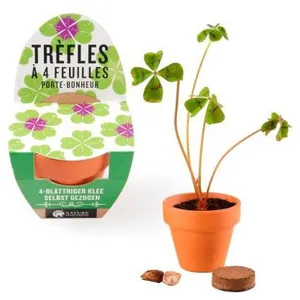 RADIS ET CAPUCINE Mini kit de trèfle à 4 feuilles pas cher