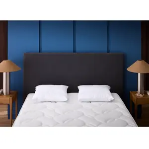 Comparateur de prix : Oreiller Mémo 3 en 1 Bultex