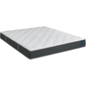 BULTEX Vitality 2.1 - 1420 VITALITY21-1420 pas cher