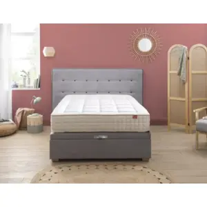 Ensemble Lit Coffre Epeda HERCULE 2 en 1 - Velours Gris Souris 90x200Vendu parcomptoir-des-nuits
