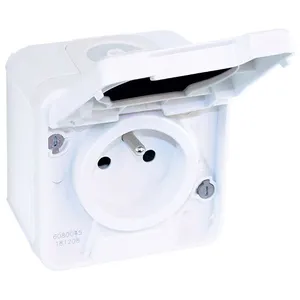 Eur Ohm - Prise courant 2P+T 16A saillie IP55 - oxxo Blanc pas cher