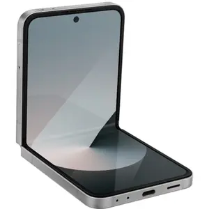 Smartphone Samsung Galaxy Z Flip6 5G (dual sim) 256 Go Gris pas cher