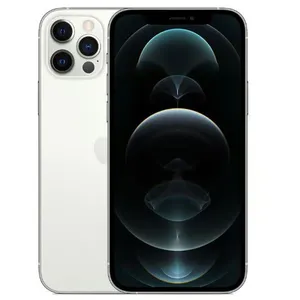 Apple iPhone 12 Pro Max 6,7'' 128 Go argent Nouvelle batterie pas cher