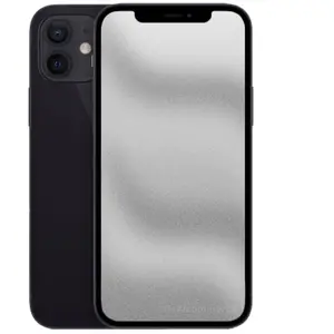 Apple iPhone 12 Mini 64 Go noir pas cher