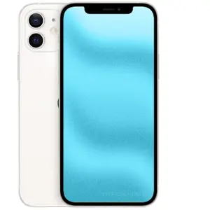 APPLE iPhone 12 Mini 256 Go - Grade A - Blanc pas cher