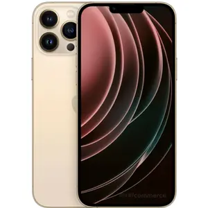 Apple iPhone 13 Pro Max 256 Go or pas cher